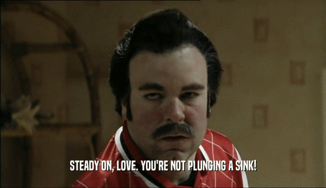 STEADY ON, LOVE. YOU'RE NOT PLUNGING A SINK!  