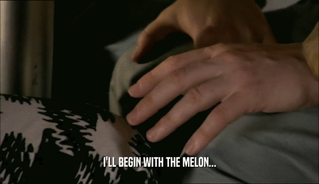 I'LL BEGIN WITH THE MELON...  