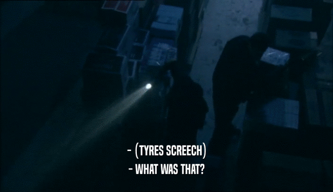 - (TYRES SCREECH) - WHAT WAS THAT? 