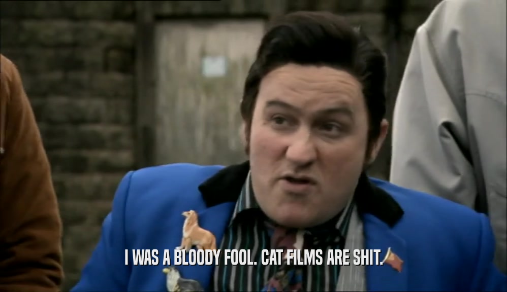 I WAS A BLOODY FOOL. CAT FILMS ARE SHIT.
  
