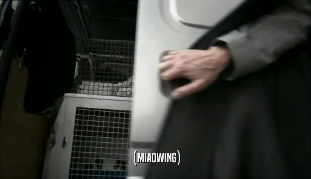 (MIAOWING)  