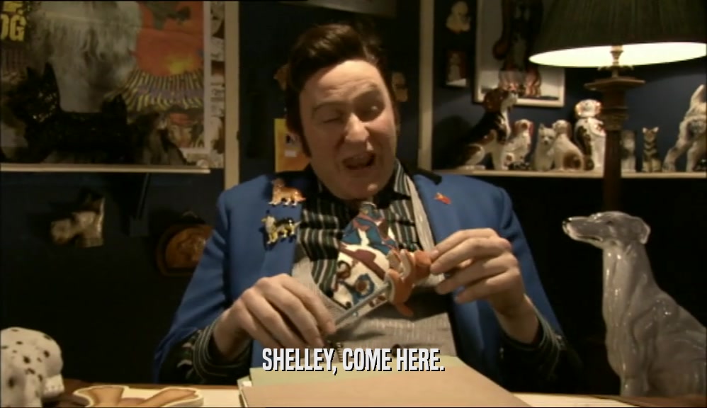 SHELLEY, COME HERE.  