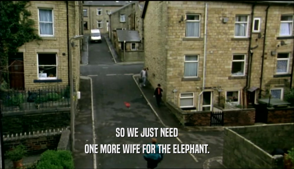 SO WE JUST NEED
 ONE MORE WIFE FOR THE ELEPHANT.
 