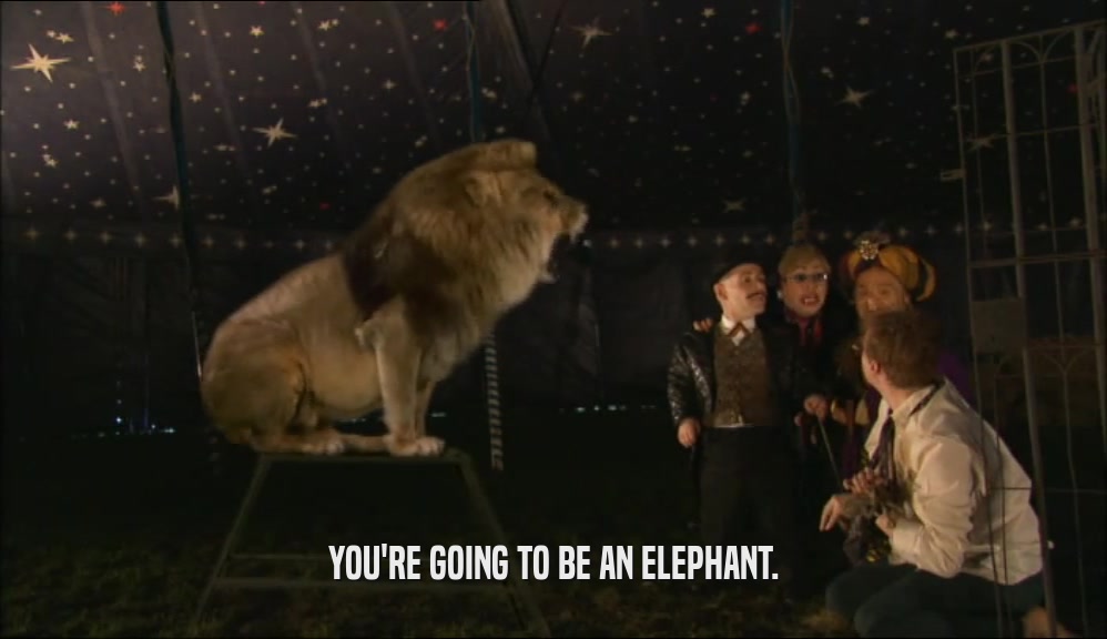YOU'RE GOING TO BE AN ELEPHANT.  