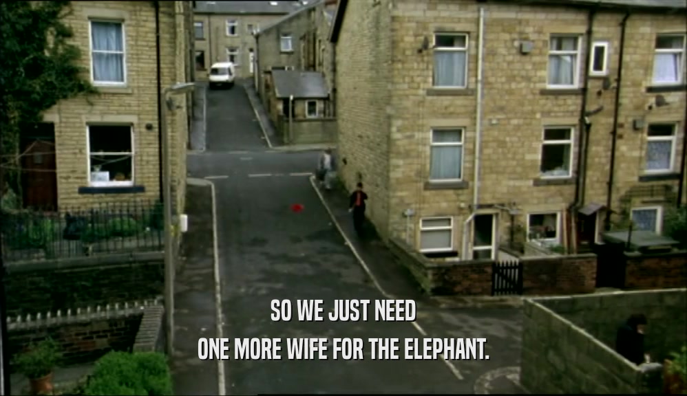 SO WE JUST NEED ONE MORE WIFE FOR THE ELEPHANT. 