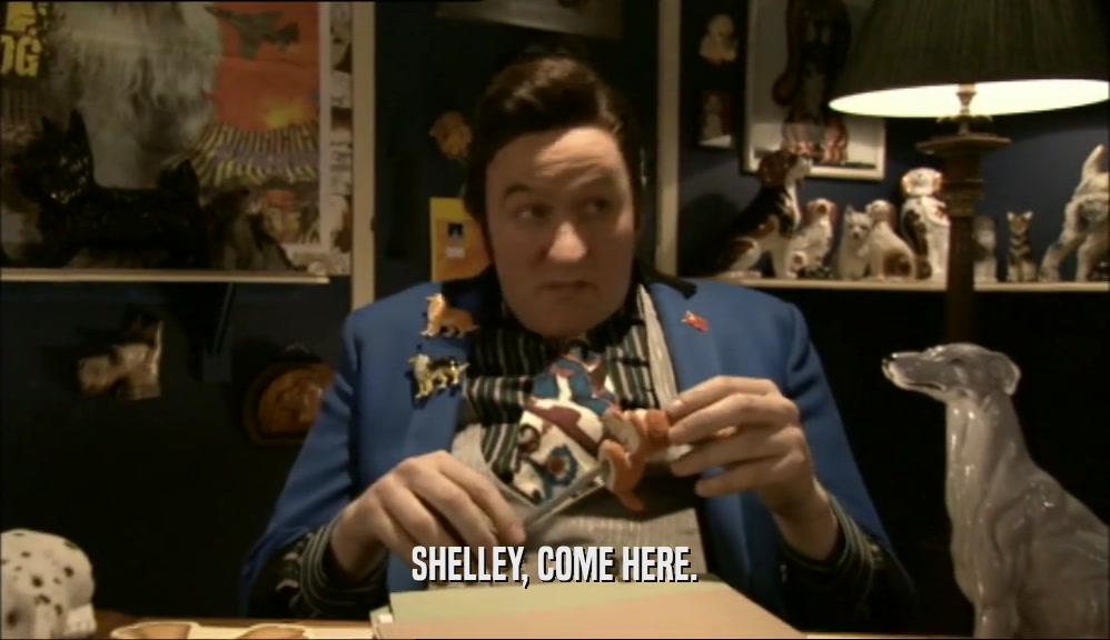 SHELLEY, COME HERE.  