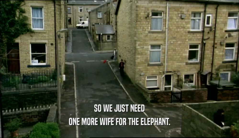 SO WE JUST NEED ONE MORE WIFE FOR THE ELEPHANT. 