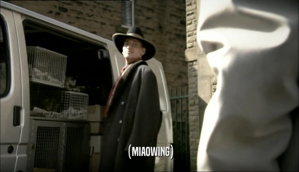 (MIAOWING)  