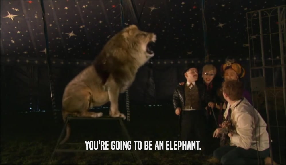 YOU'RE GOING TO BE AN ELEPHANT.  