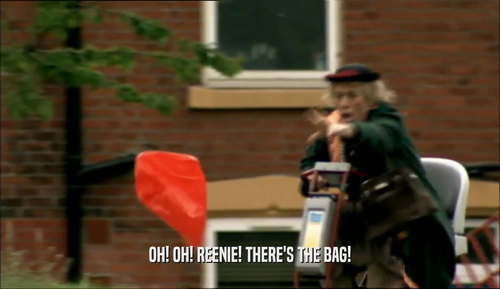 OH! OH! REENIE! THERE'S THE BAG!
  