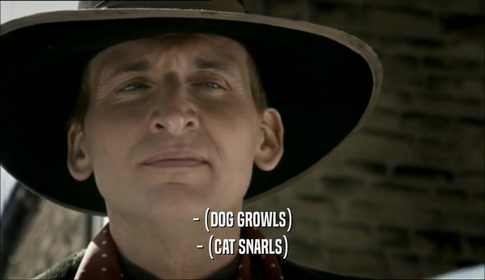 - (DOG GROWLS) - (CAT SNARLS) 