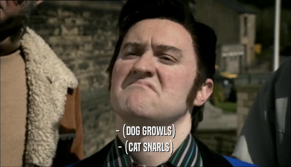 - (DOG GROWLS) - (CAT SNARLS) 