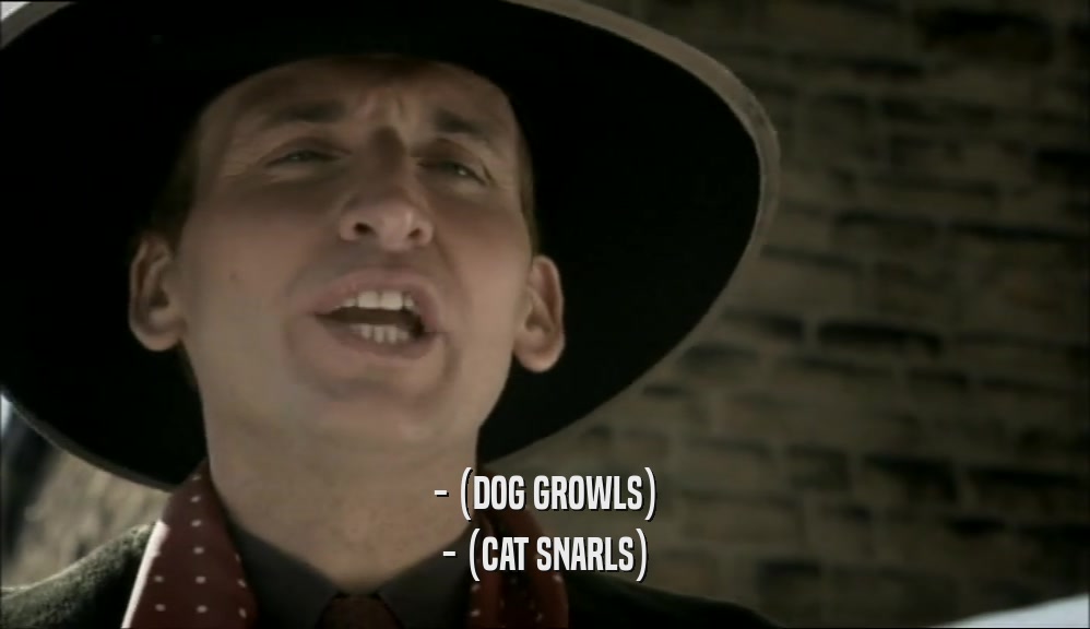 - (DOG GROWLS) - (CAT SNARLS) 