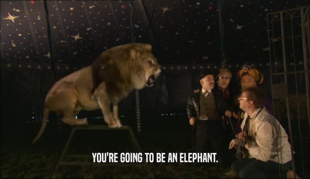 YOU'RE GOING TO BE AN ELEPHANT.  