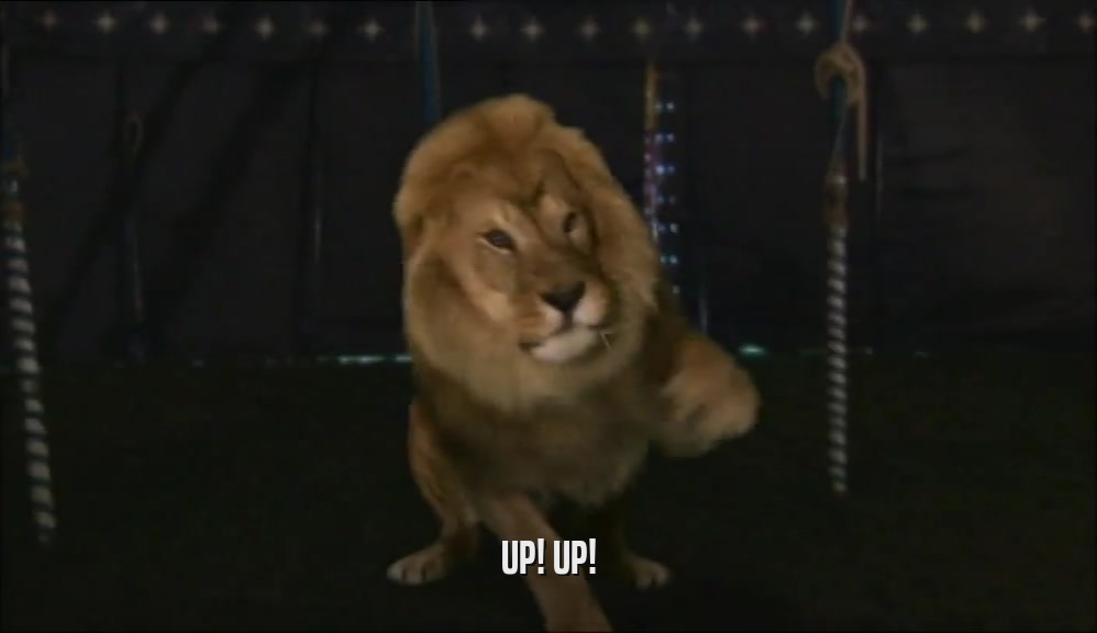 UP! UP!  