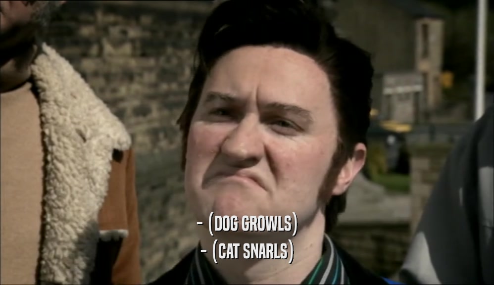 - (DOG GROWLS) - (CAT SNARLS) 