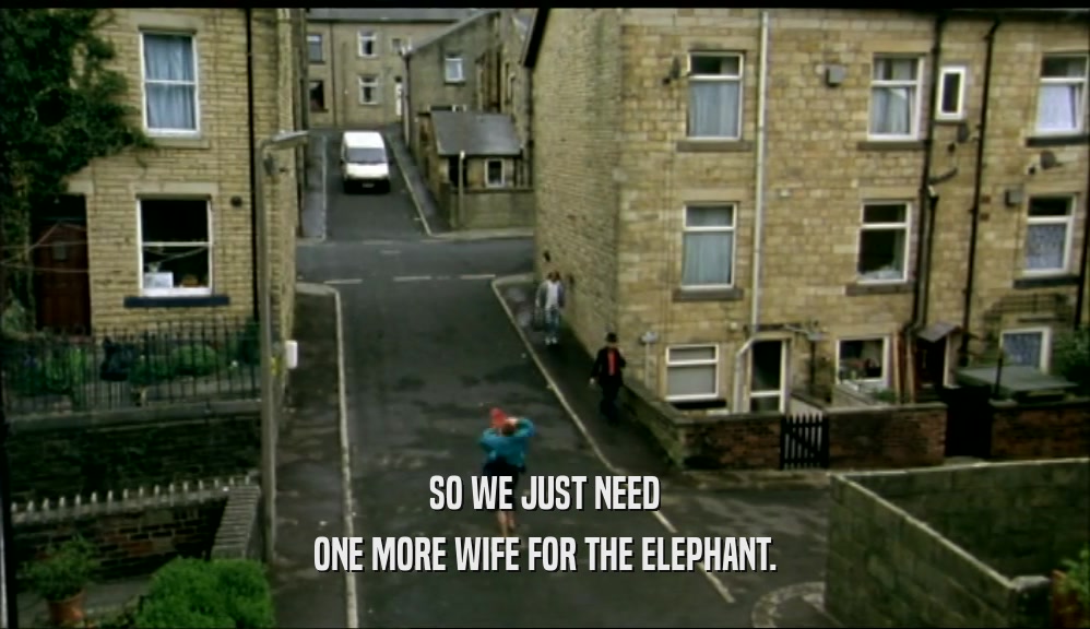 SO WE JUST NEED
 ONE MORE WIFE FOR THE ELEPHANT.
 