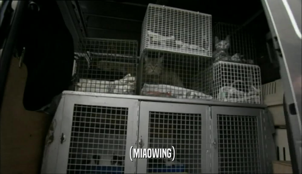 (MIAOWING)  