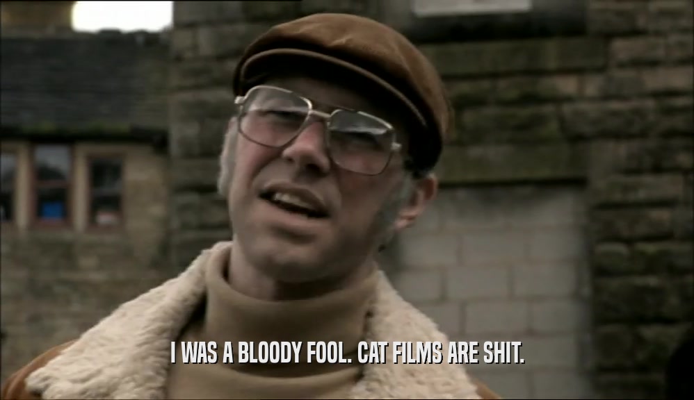 I WAS A BLOODY FOOL. CAT FILMS ARE SHIT.
  