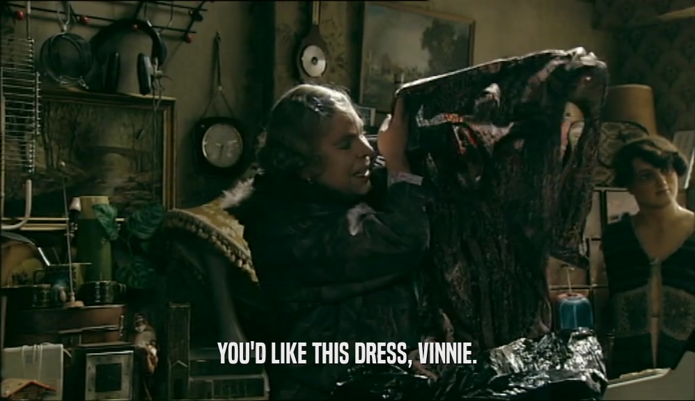 YOU'D LIKE THIS DRESS, VINNIE.  