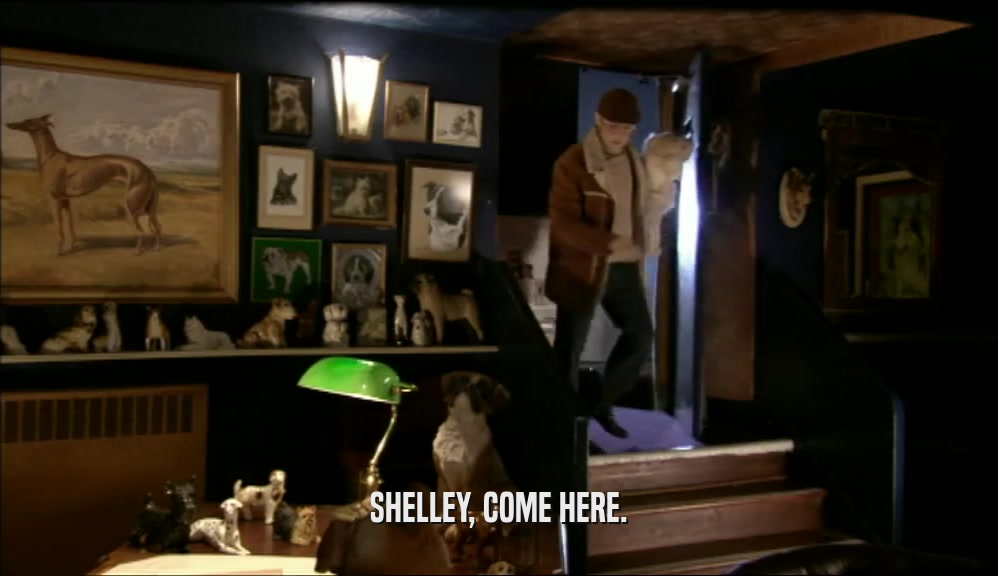 SHELLEY, COME HERE.  