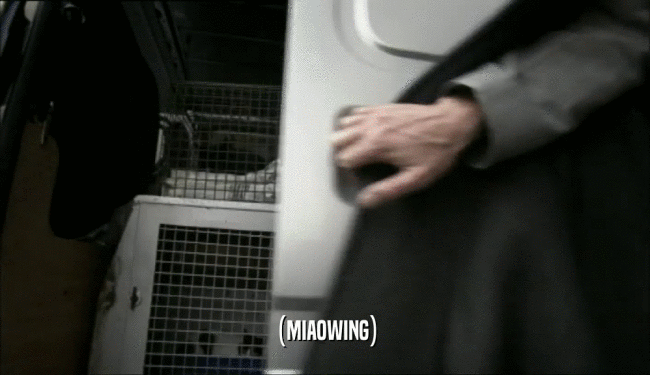 (MIAOWING)  