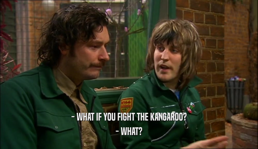 - WHAT IF YOU FIGHT THE KANGAROO? - WHAT? 