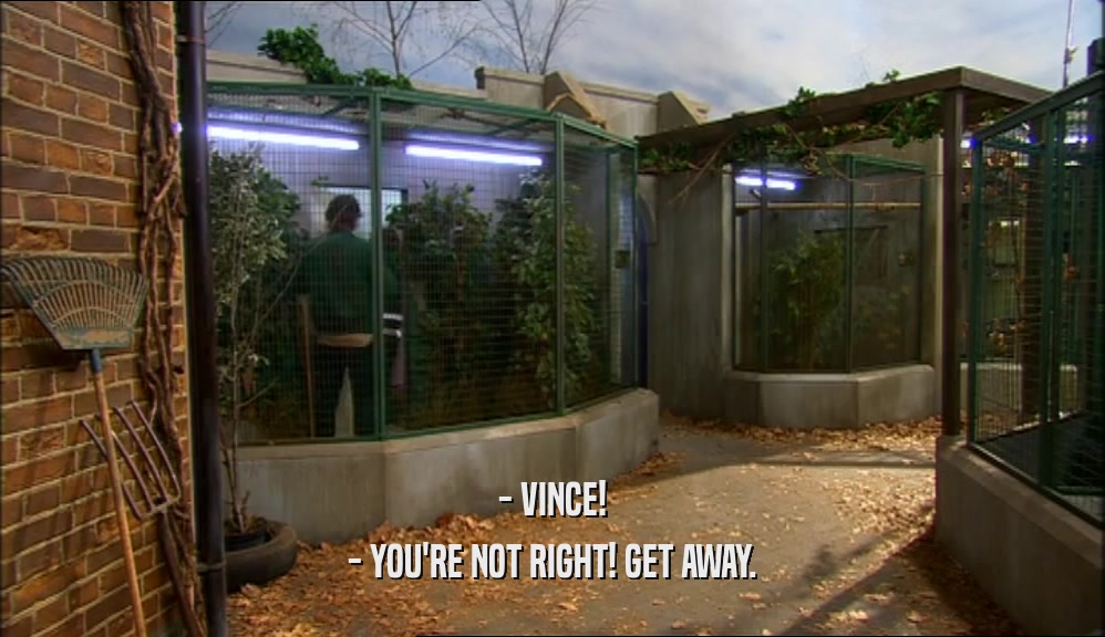 - VINCE! - YOU'RE NOT RIGHT! GET AWAY. 