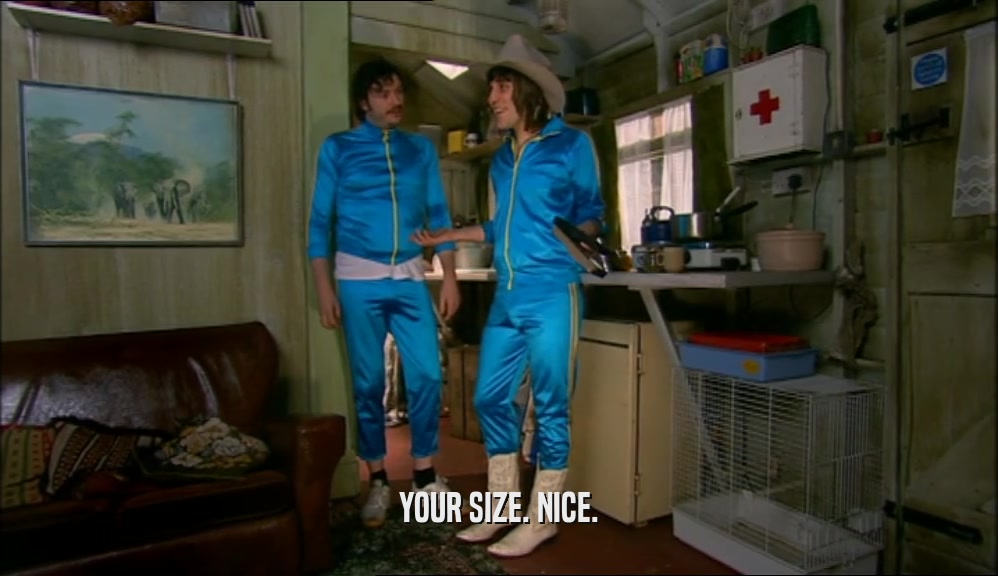 YOUR SIZE. NICE.  
