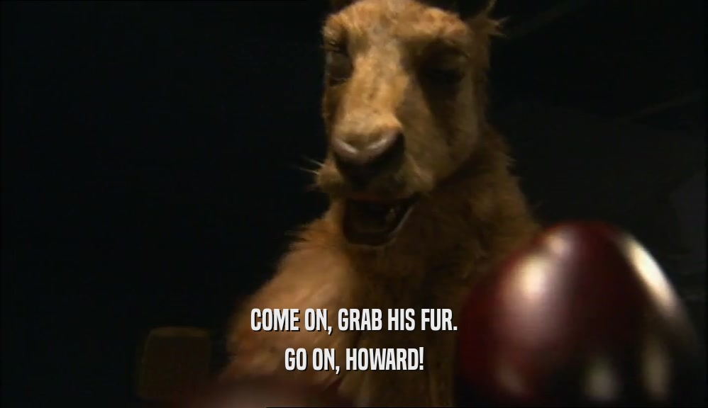 COME ON, GRAB HIS FUR. GO ON, HOWARD! 