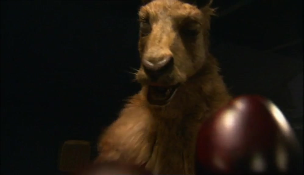 COME ON, GRAB HIS FUR. GO ON, HOWARD! 