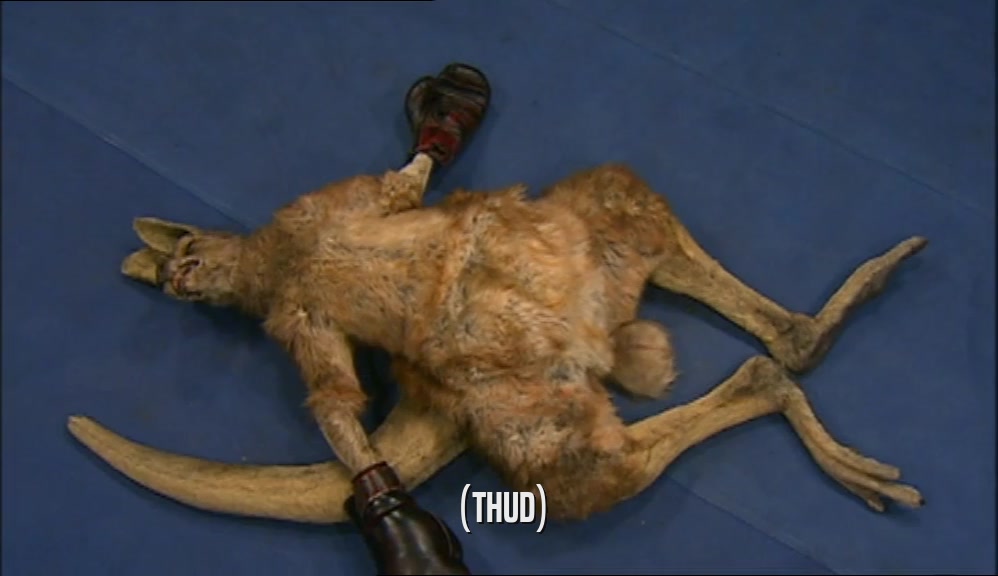 (THUD)  