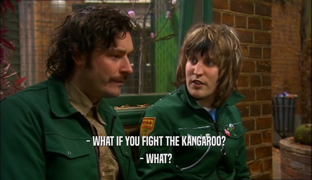 - WHAT IF YOU FIGHT THE KANGAROO? - WHAT? 