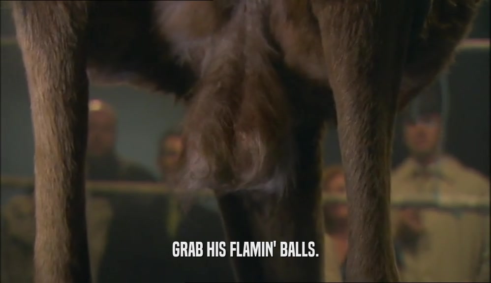 GRAB HIS FLAMIN' BALLS.  
