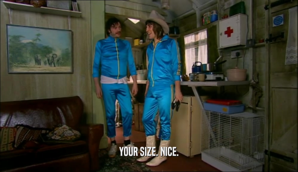 YOUR SIZE. NICE.  