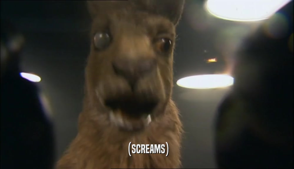 (SCREAMS)  