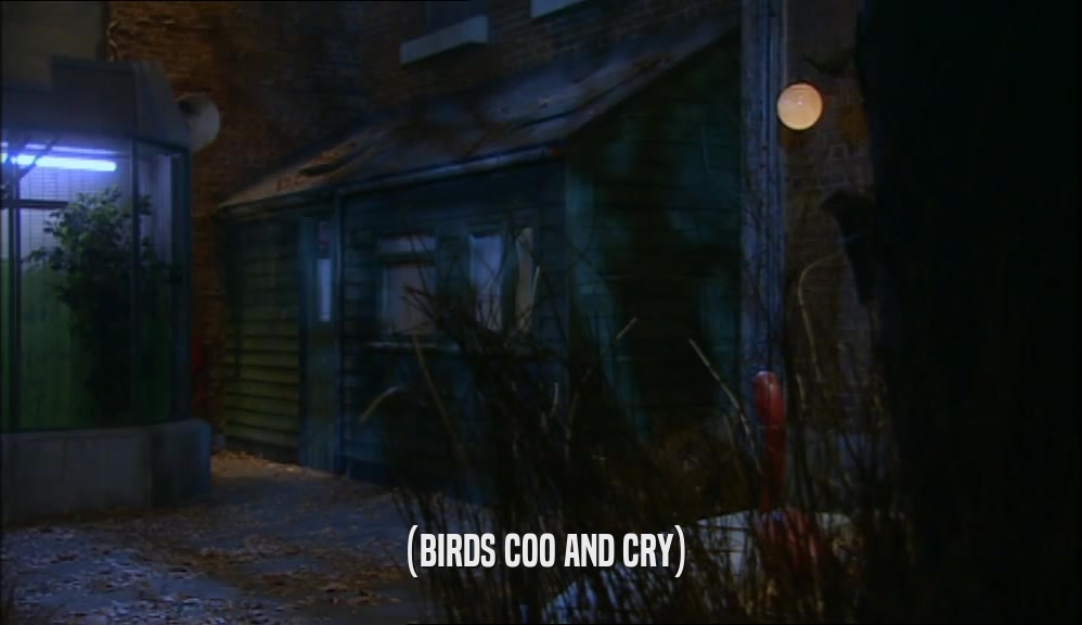 (BIRDS COO AND CRY)  