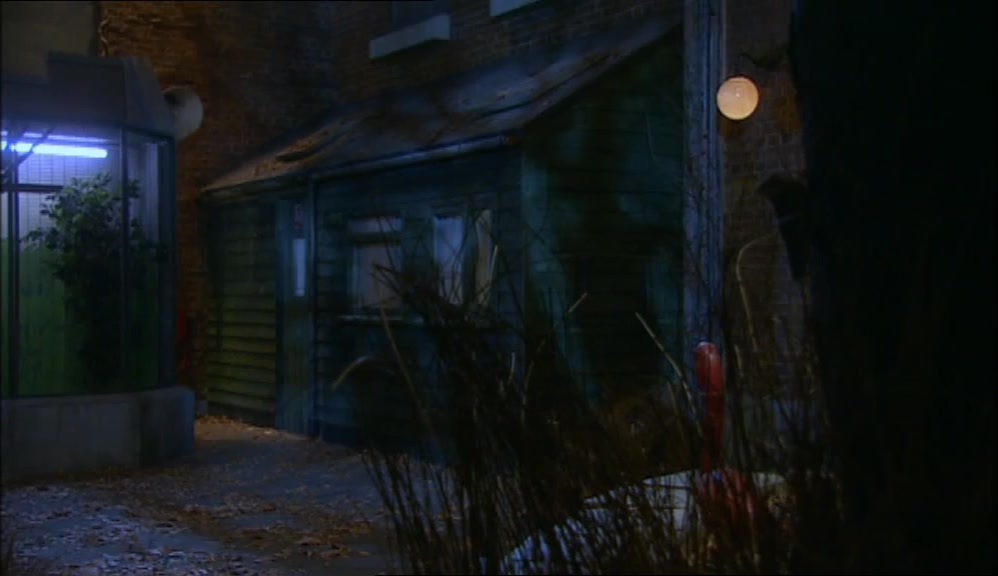 (BIRDS COO AND CRY)  