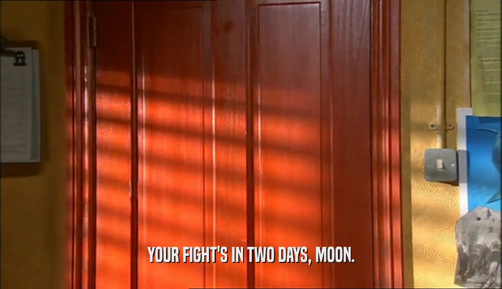 YOUR FIGHT'S IN TWO DAYS, MOON.
  