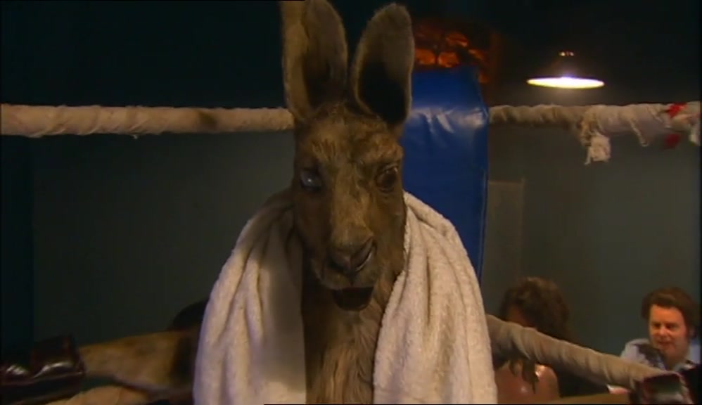 - NOW, THIS FELLA'S... - (ECHOING GROWL) 