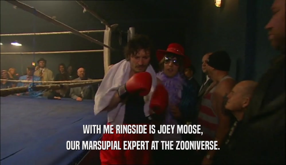 WITH ME RINGSIDE IS JOEY MOOSE, OUR MARSUPIAL EXPERT AT THE ZOONIVERSE. 