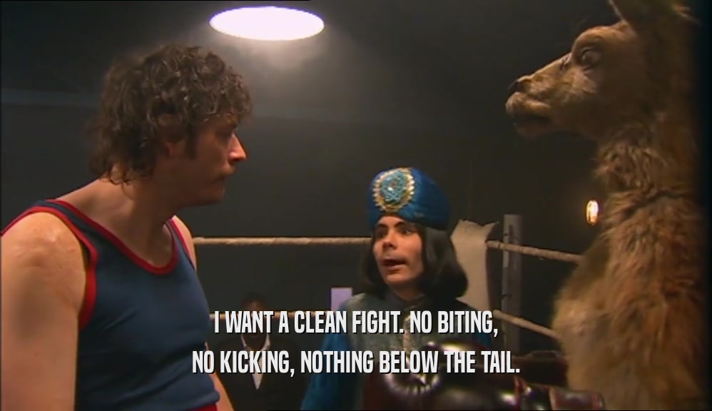 I WANT A CLEAN FIGHT. NO BITING, NO KICKING, NOTHING BELOW THE TAIL. 