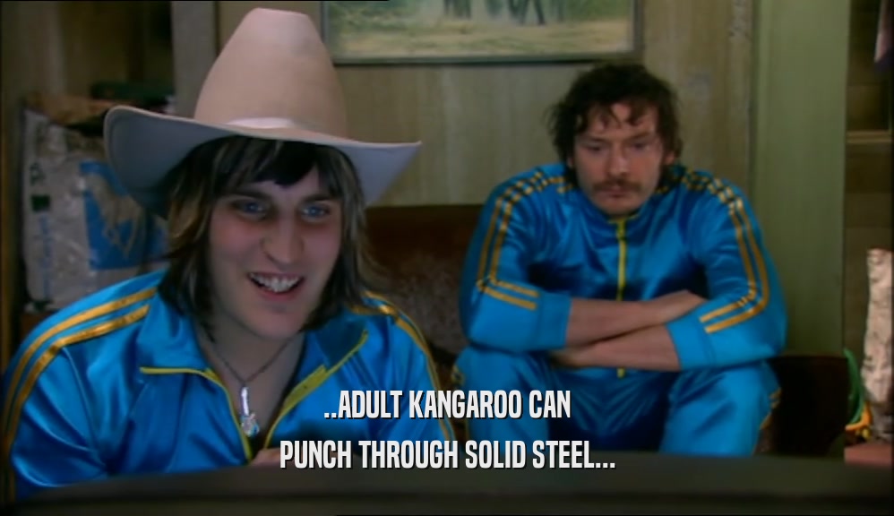 ..ADULT KANGAROO CAN PUNCH THROUGH SOLID STEEL... 