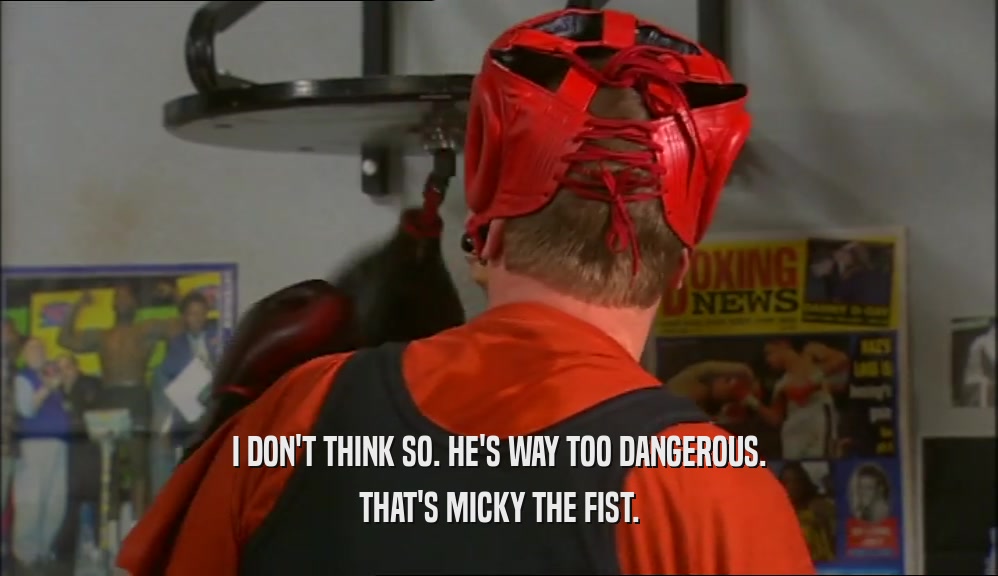 I DON'T THINK SO. HE'S WAY TOO DANGEROUS. THAT'S MICKY THE FIST. 
