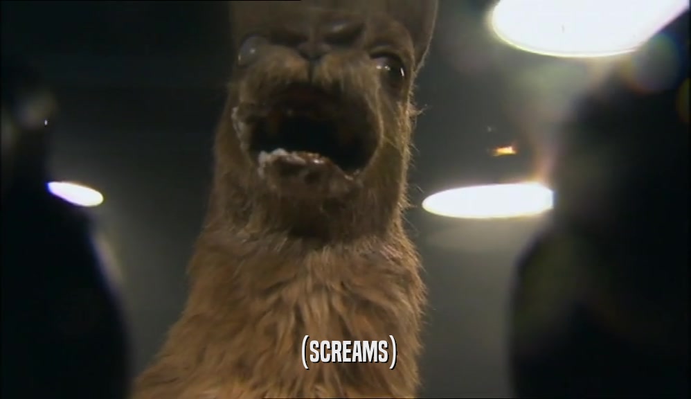 (SCREAMS)  