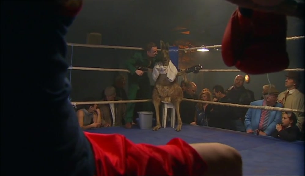 PUNCH HIM IN THE SNOUT, ALL RIGHT? HOWARD. HOWARD? 