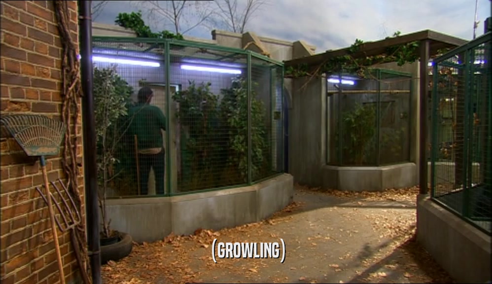 (GROWLING)  