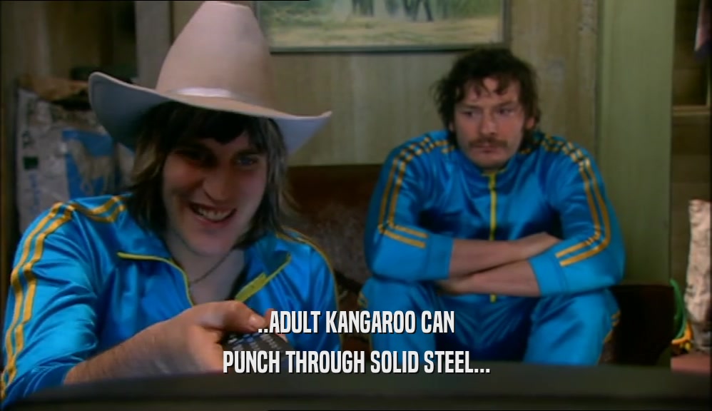 ..ADULT KANGAROO CAN PUNCH THROUGH SOLID STEEL... 