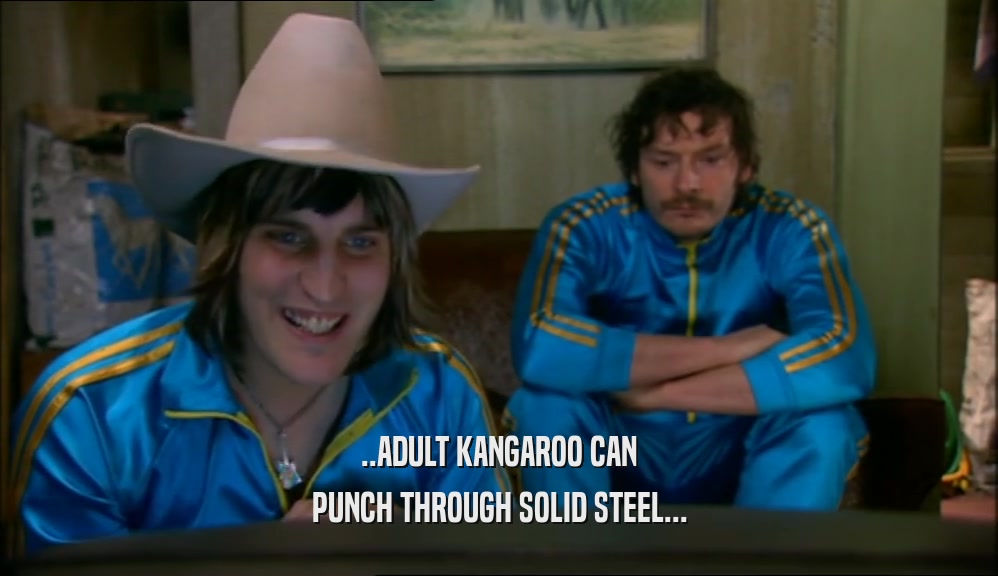 ..ADULT KANGAROO CAN PUNCH THROUGH SOLID STEEL... 
