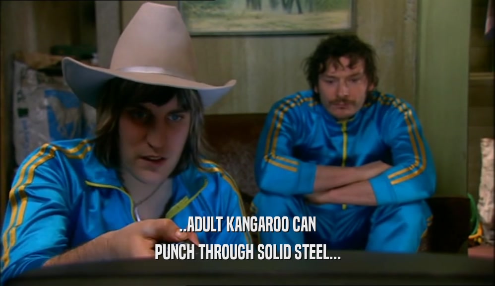 ..ADULT KANGAROO CAN PUNCH THROUGH SOLID STEEL... 